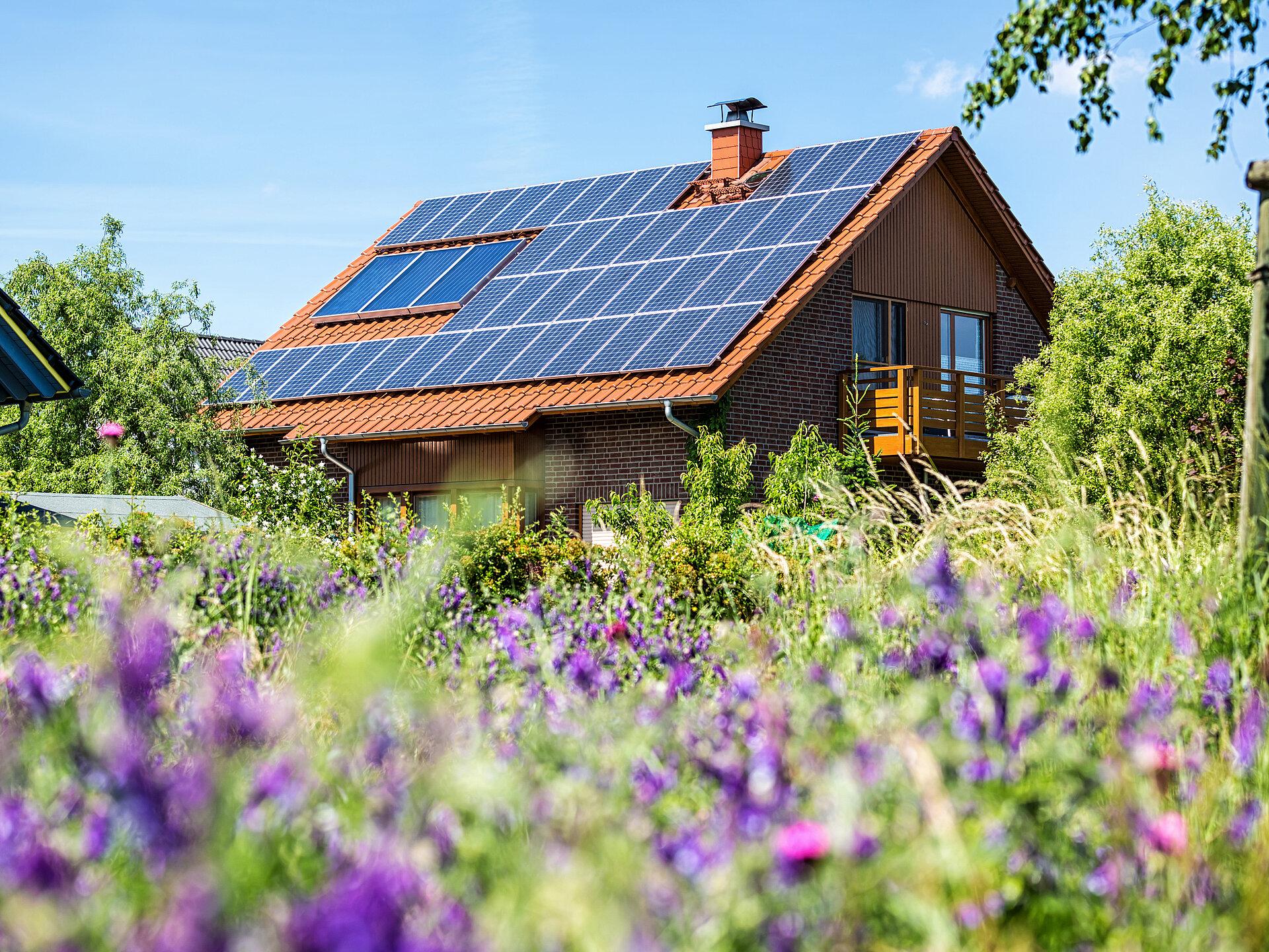 Ein Familienhaus mit Solarplatten auf dem Dach inmitten einer blühenden Wiese