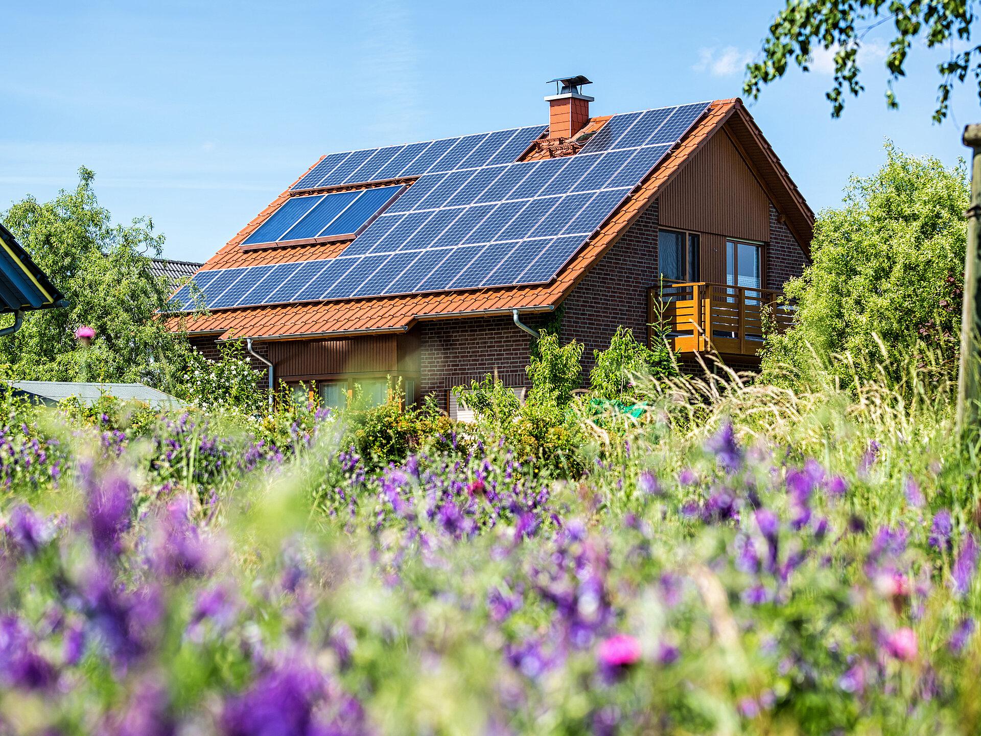 Ein Familienhaus mit Solarplatten auf dem Dach inmitten einer blühenden Wiese