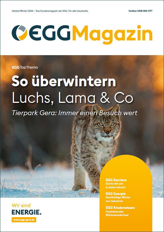 Energieversorgung Gera